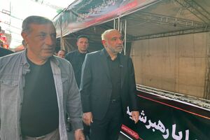 معاون اجرایی رئیس‌جمهور از برخی موکب‌های خدمت‌رسانی دولت به زائران امام شهید بازدید کرد