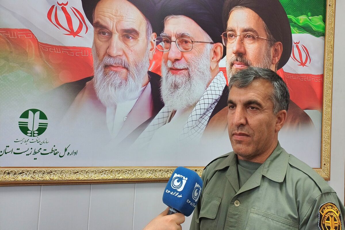 محمدی 