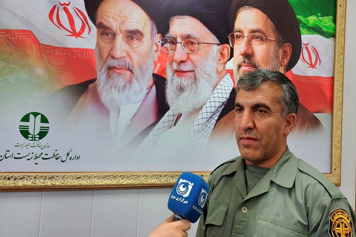 محمدی 
