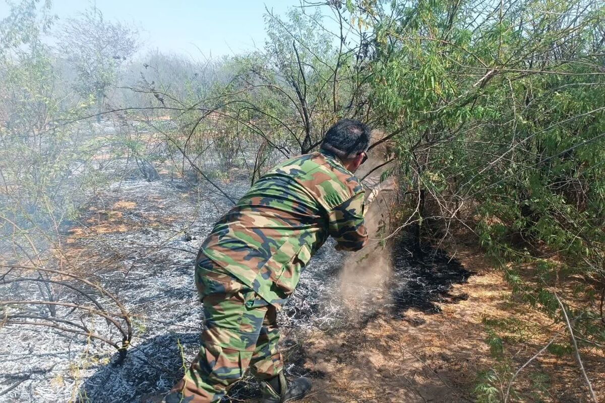 مهار آتش سوزی 
