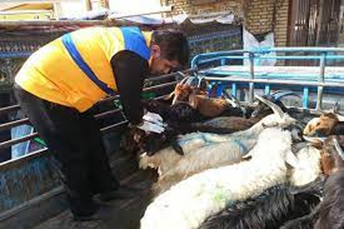عکس خبر دامپزشکی