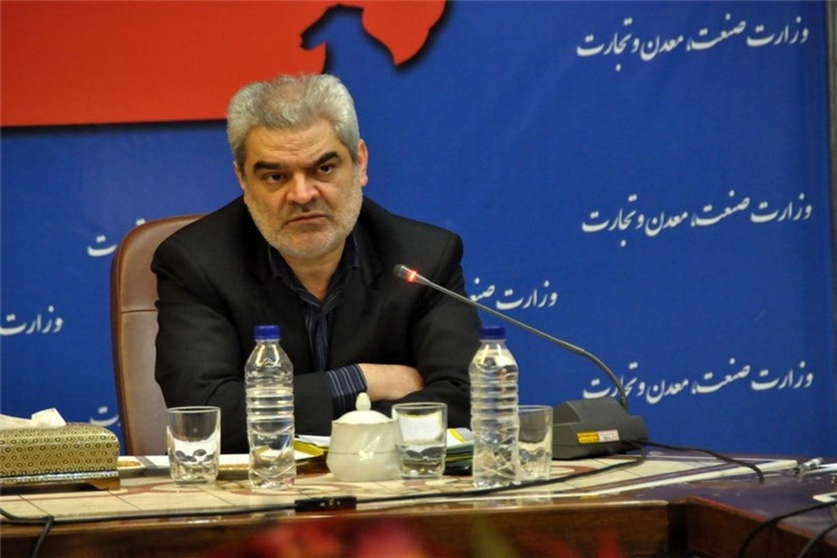 محسن صالحی نیا معاون وزیر صنعت،‌ معدن و تجارت