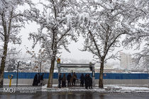 بارش برف پاییزی در تهران / پیش بینی کاهش ۵ درجه ای هوا