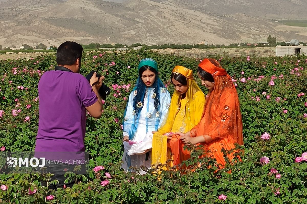 جشنواره گل و گلاب میمند 