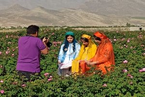 نخستین نمایشگاه عکس گل و گلاب میمند افتتاح می شود