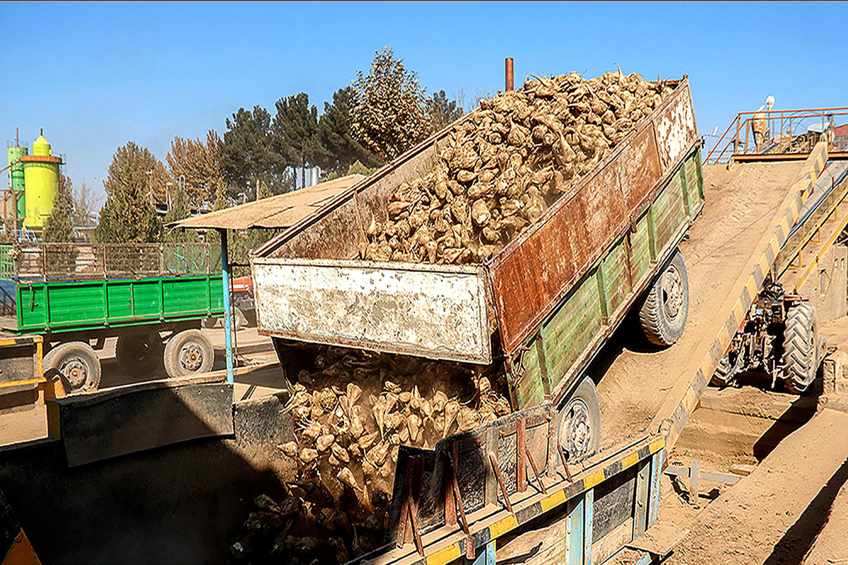  کارخانه قند جوین 