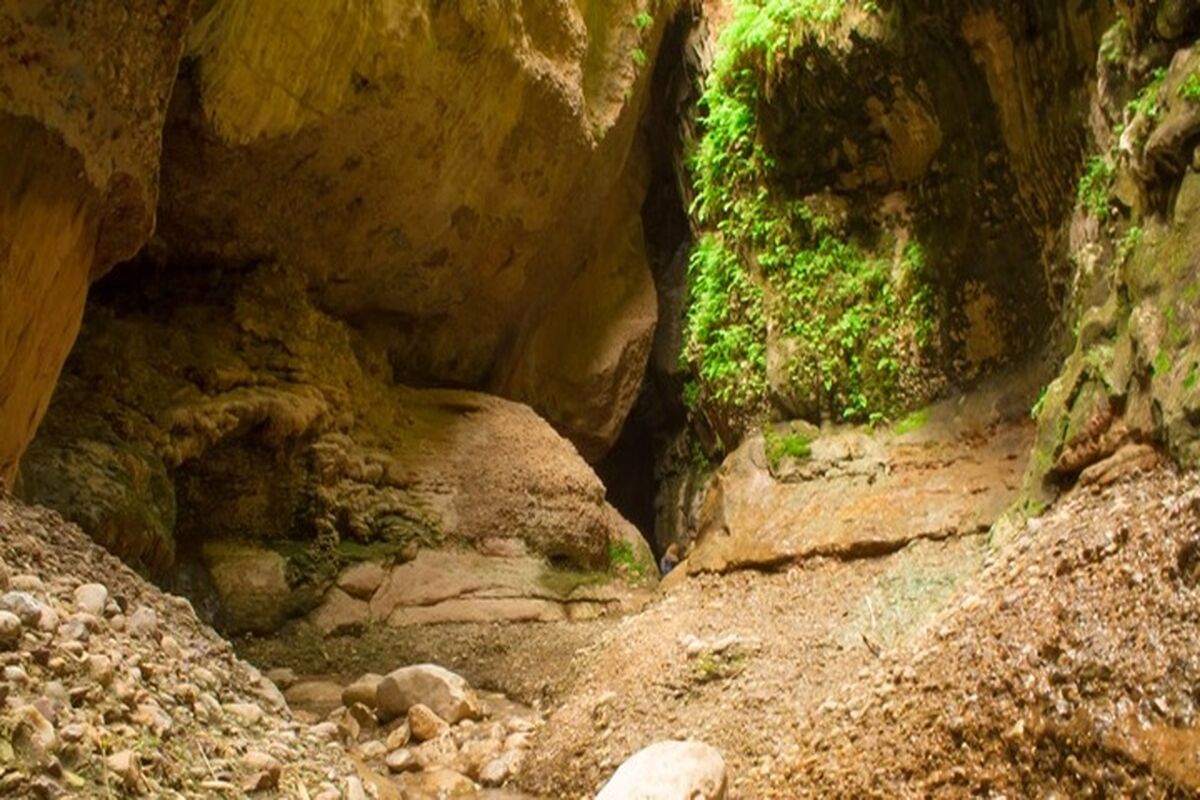 زینگان