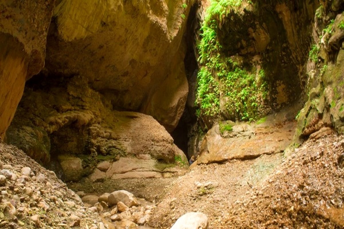 زینگان