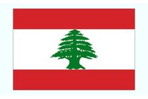 دولت لبنان علیه رژیم صهیونیستی به شورای امنیت شکایت کرد