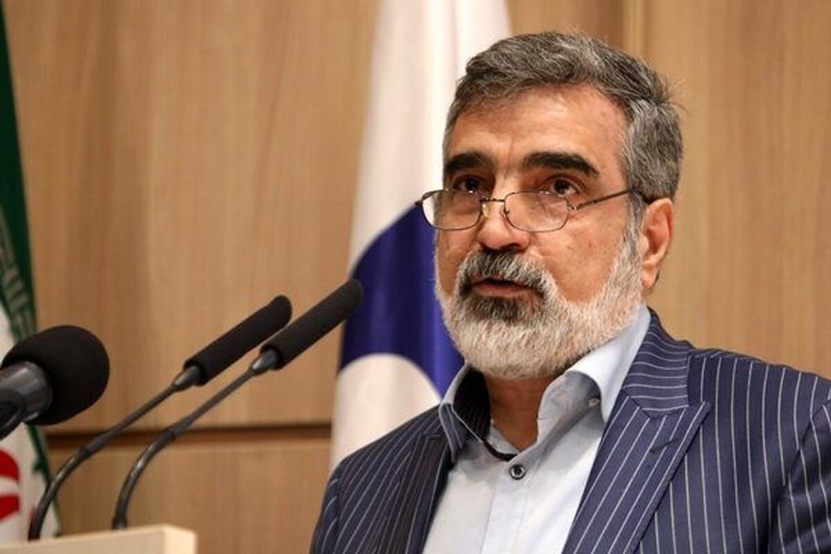 سخنگوی انرژی اتمی