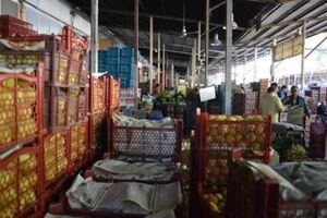 میادین میوه و تره‌بار فردا تعطیل است