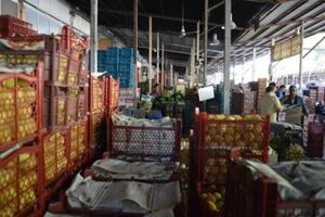 میادین میوه و تره‌بار فردا تعطیل است