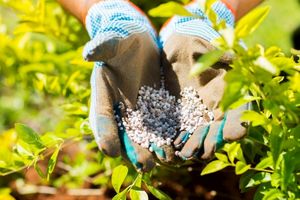 نظارت شرکت خدمات حمایتی کشاورزی ایلام بر قیمت فروش کودهای یارانه ای