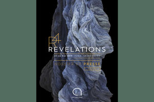 مجسمه سازان و سفالگران ایرانی به دوسالانه فاین کرفت فرانسه می روند