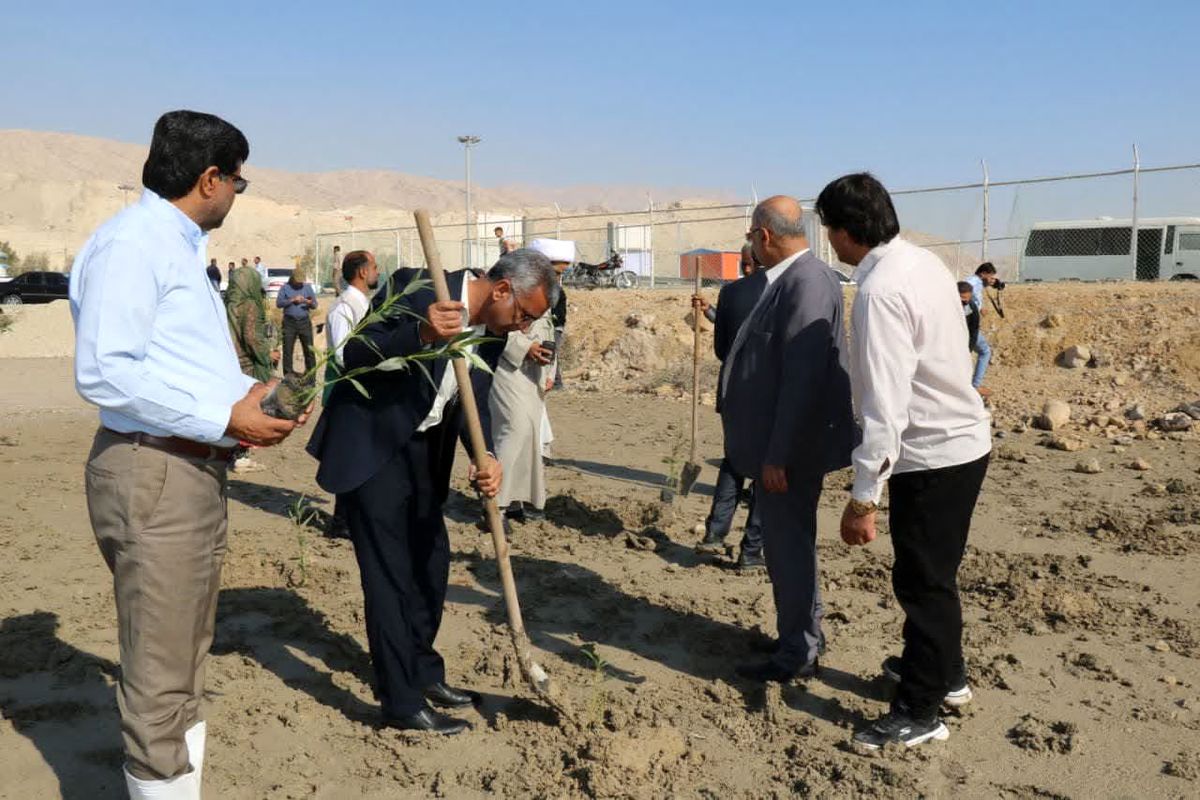 پویش درختکاری 