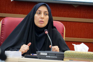 سازمان ها تفاسیر مختلفی از قانون دارند/بجای ممنوعیت واردات باید مدیریت واردات صورت می گرفت