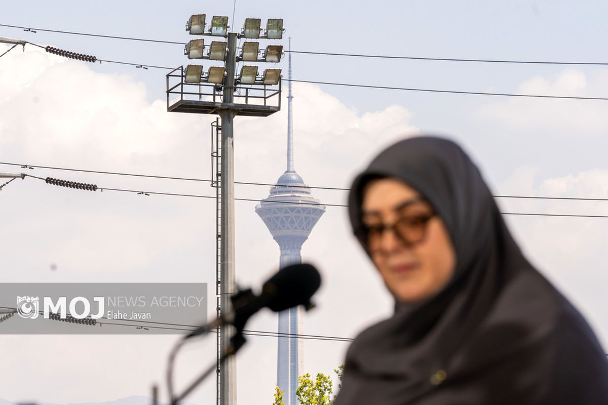 فاطمه مهاجرانی + سخنگوی دولت