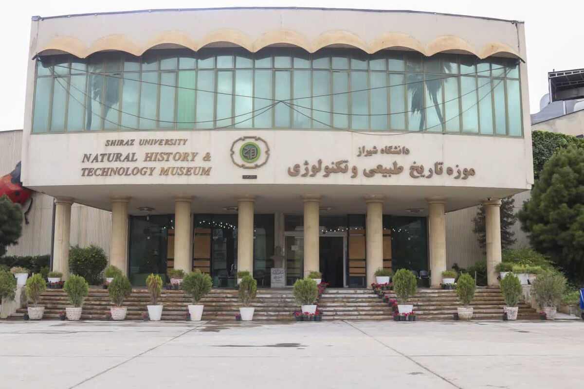دانشگاه شیراز 