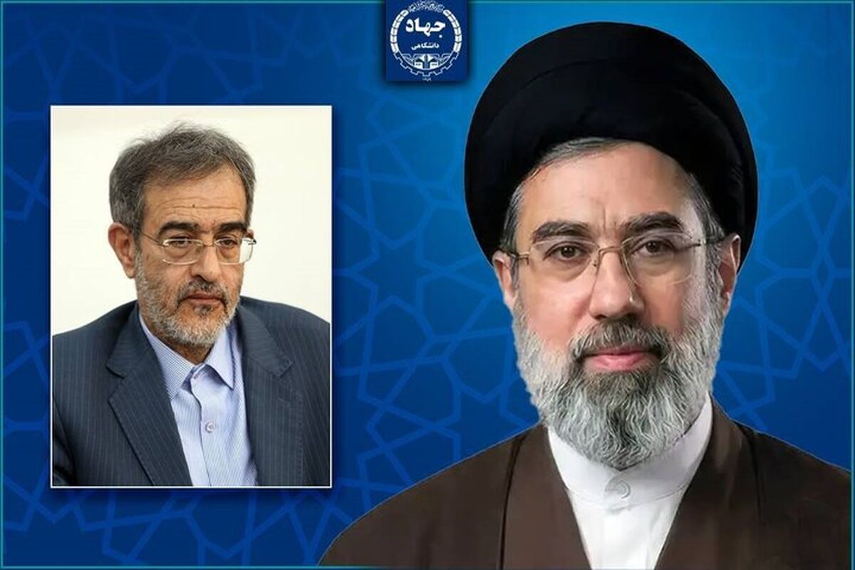 جهاد دانشگاهی