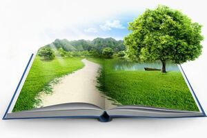 کمیته استانی محیط زیست و آموزش و پرورش لرستان برگزار شد