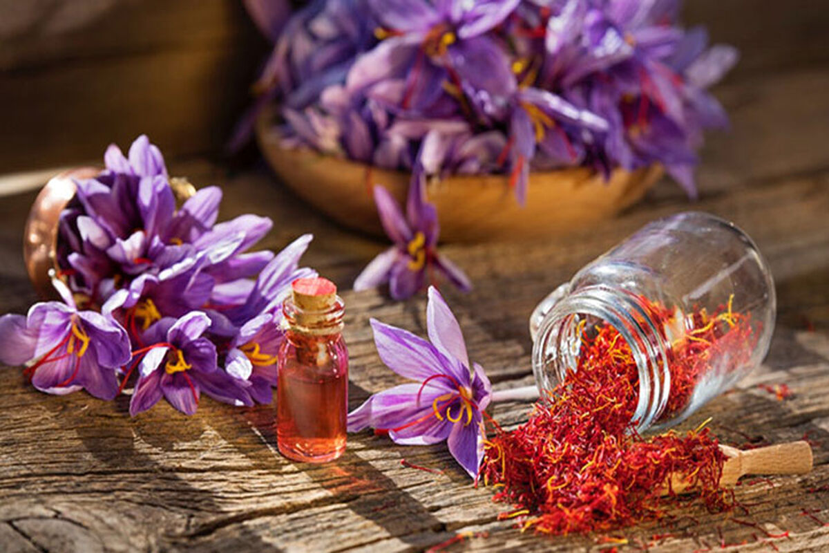 زعفران تربت حیدریه
