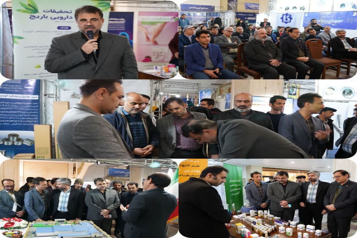 دانشگاه کاشان