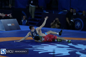 پنج آزادکار کشورمان به مرحله نیمه نهایی رسیدند