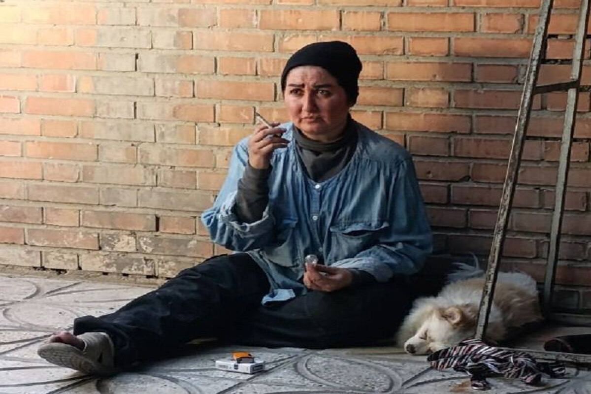 بارکن‌ها