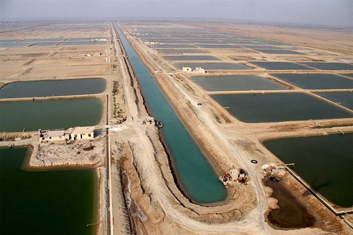 پروژه های شیلات