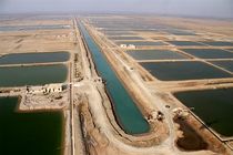 افتتاح 34 طرح شیلاتی هرمزگان در هفته دولت​