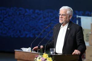 برای استفاده از بخش خصوصی به شورای نگهبان تعهد شخصی دادم