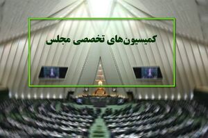 دستور کار کمیسیون ‌های تخصصی مجلس در هفته آینده اعلام شد