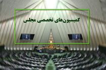 دستور کار کمیسیون ‌های تخصصی مجلس در هفته آینده اعلام شد