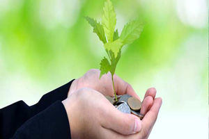 عملکرد خیریه ها با تعدادشان همخوانی ندارد