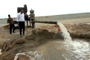 بارندگی های تایباد در سال زراعی جاری افزایش داشته است