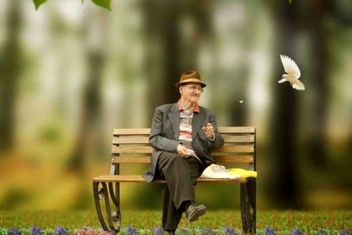 امید به زندگی سالمندی سلامت