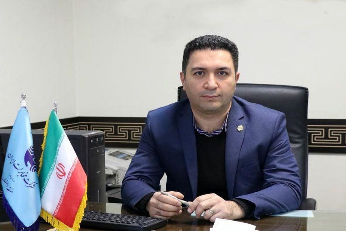 شاهین ملک زاده