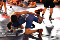 اردوی تیم‌های ملی کشتی آزاد و فرنگی جوانان آغاز شد