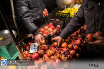 ضعف نظارت عامل قیمت گذاری غیر متعارف میوه در خرده فروشی ها شده است