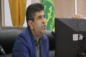 به زودی بازار ثبات خواهد یافت