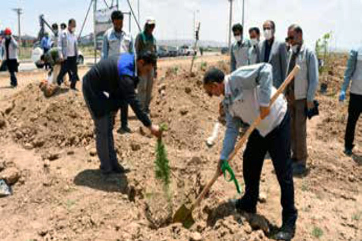 مدیرکل محیط‌زیست استان چهارمحال و بختیاری