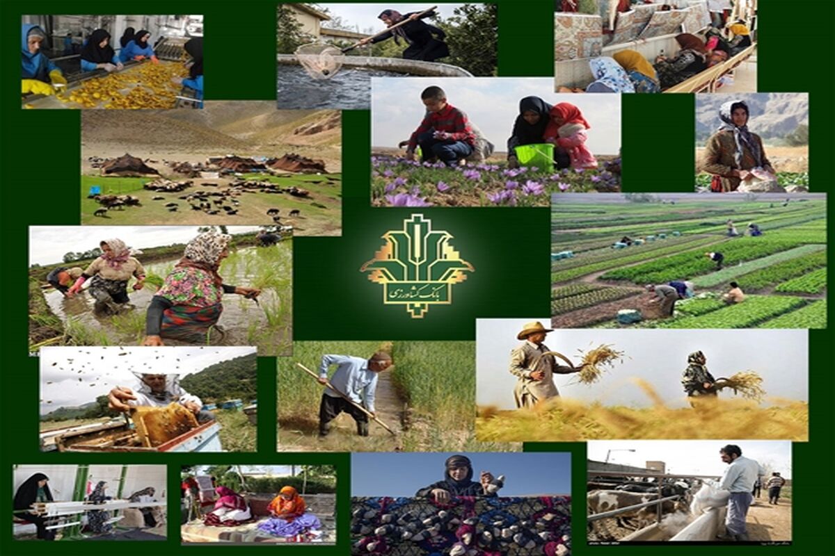بانک کشاورزی