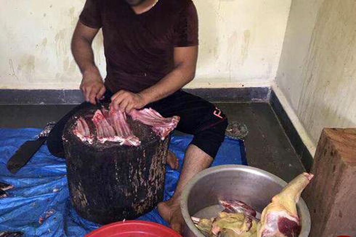 استفاده از گوشت سگ