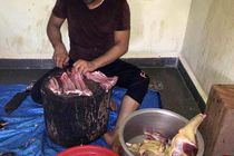  استفاده از گوشت سگ در اهواز محرز نیست