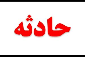 خودروی سواری جان کارگر فضای سبز را گرفت