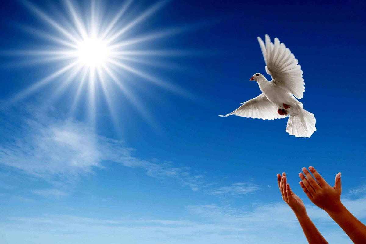 آزادی زندانیان