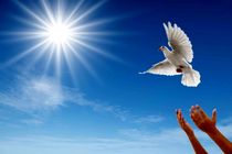 در طرح نذر امام ۱۱۴۹ سرپرست خانوار و بانوی معسر در کشور آزاد شدند