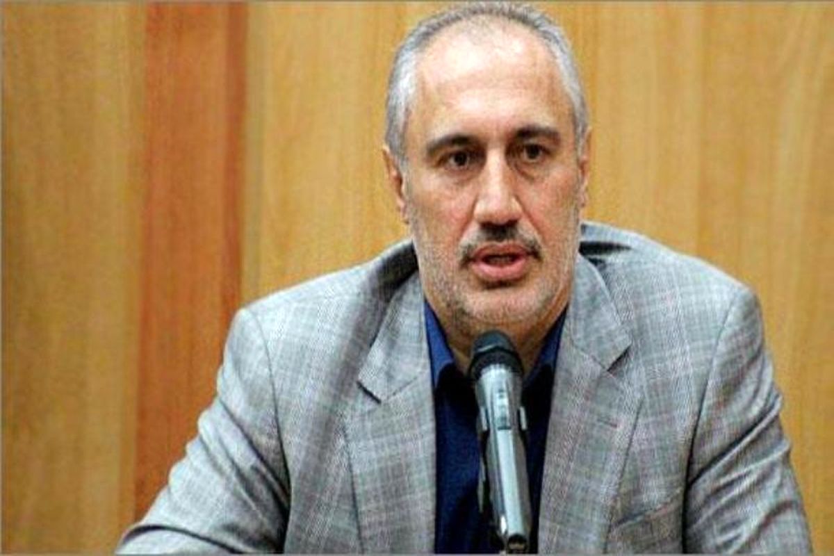 سیدحمید پورمحمدی معاون امور اقتصادی سازمان برنامه و بودجه