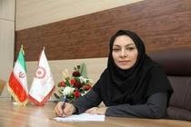 368 طرح اشتغال و مسکن مددجویان بهزیستی دهه فجر در ایلام افتتاح می شود