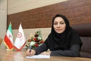 368 طرح اشتغال و مسکن مددجویان بهزیستی دهه فجر در ایلام افتتاح می شود